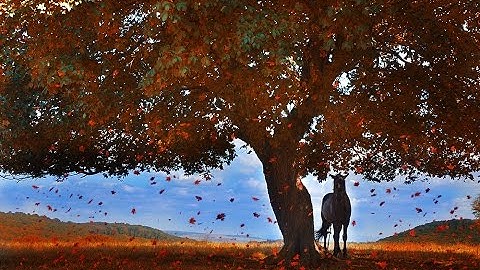 How to Change a Photo of Summer into Autumn - Create Fall/Autumn Leaves Photoshop Tutorial