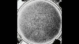 Mesmerizing Futuristic Spirograph | Relaxing Visuals to Calm Your Mind
