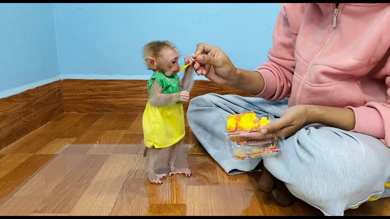 Smallest Jasmine Standinq Like A Real Girl For Mom Feedinq