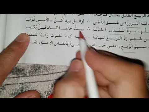 حل محافظة القاهرة من نماذج كتاب الامتحان للصف الثانى الثانوى الترم الثانى 
