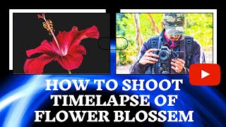 How to shoot flower blooming time-lapse video at home complete in depth information. #withme