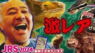 【イベントの裏側】今年初めての爬虫類イベント参加【冬レプ2024】