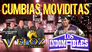 Veloz de la Sierra, Los Indomables CUMBIAS MAS MOVIDITAS MIX 2022