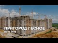 ЖК "Пригород Лесное" / Июнь 2020