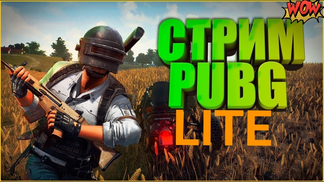 Pubg донат для чего фото 37