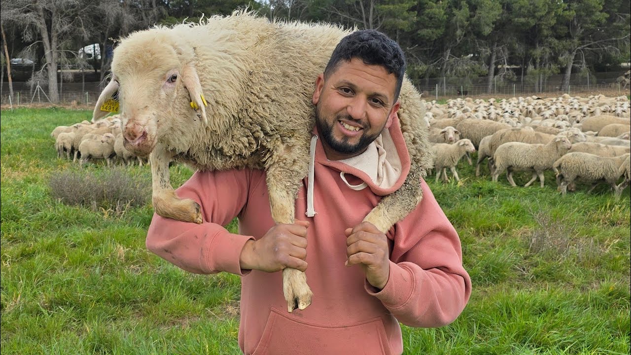 شوفوا علاش هاد الكراهية ياك نحنا مسلمين لا حول ولا قوة الا بالله.الزكاة.