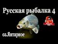 Русская рыбалка 4 озЯнтарное