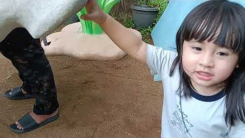 Ketemu patung gajah, io bilang itu Sula temen Bing Bunny 😆