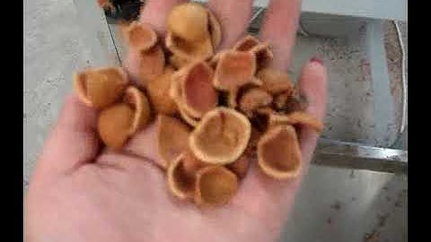 Nut Separator, Almond Shell-Kernel Separating Machine