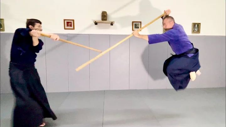 Tenshin Shoden Katori Shinto Ryu Bojutsu Kenjutsu
