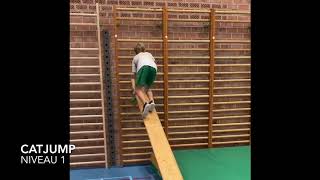 Freerunning In Vabi Catjump