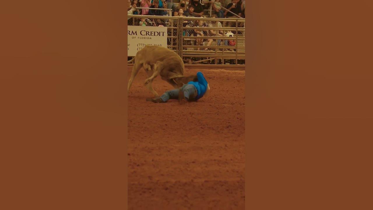 PRO RODEO TALLAHASSEE 🤠 STEER WRESTLING RIDE AAA viral trending 