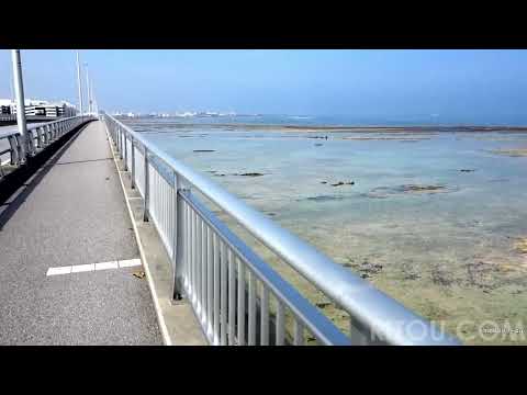 �䕗6�������̉���V�[�T�C�h���[�h�I3�������Ԃ�̃o�C�N���C�h