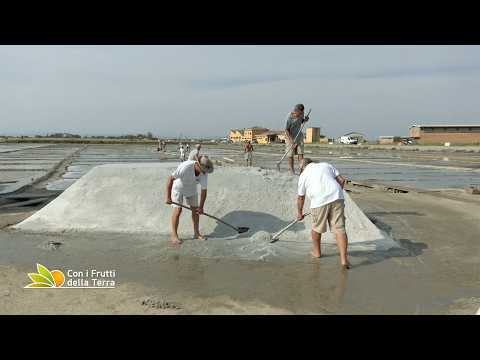 Video La Salina di Cervia tra sale dolce e natura