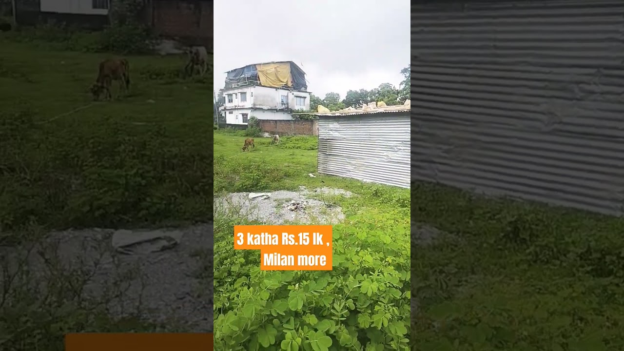 3 katha plot in Milan more Devidanga, THINDHURY MORE, Milan more 