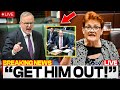 Pauline Hanson DESTROYS Albanese &amp; Greens in Parliament Showdown!