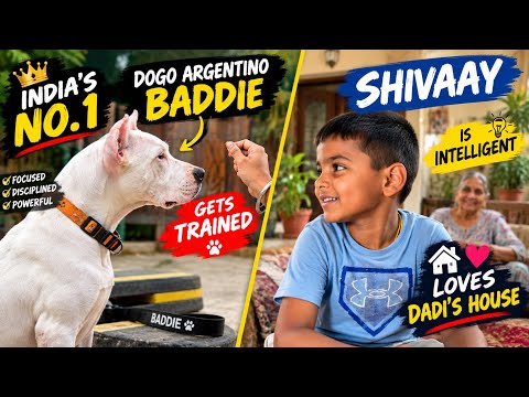 India’s No.1 Dogo Argentino Baddie Gets TRAINED 🐕‍🦺🔥 | Shivaay Loves Dadi’s House ❤️ | Family Vlog