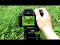 Super Macro Photography Tutorial - Canon PowerShot SX60 HS & Raynox DCR-150 Macro Lens