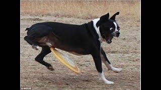 Thế nào là THỐN VCĐ ! :)))