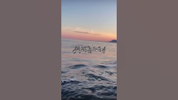 واتس اب قران كريم القارئ احمد خضر (سوره المائدة)