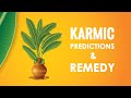Karmic Remedy of Jupiter-(Seed correction)