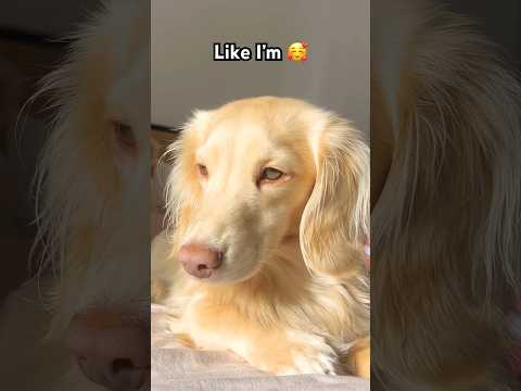 خیلی خسته ام