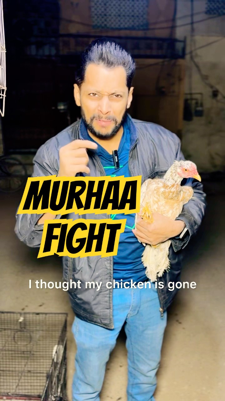 Murghaa fight dekhi hai kabhi?? game ulta parh gaya ? Salman Noman❤️ #shorts