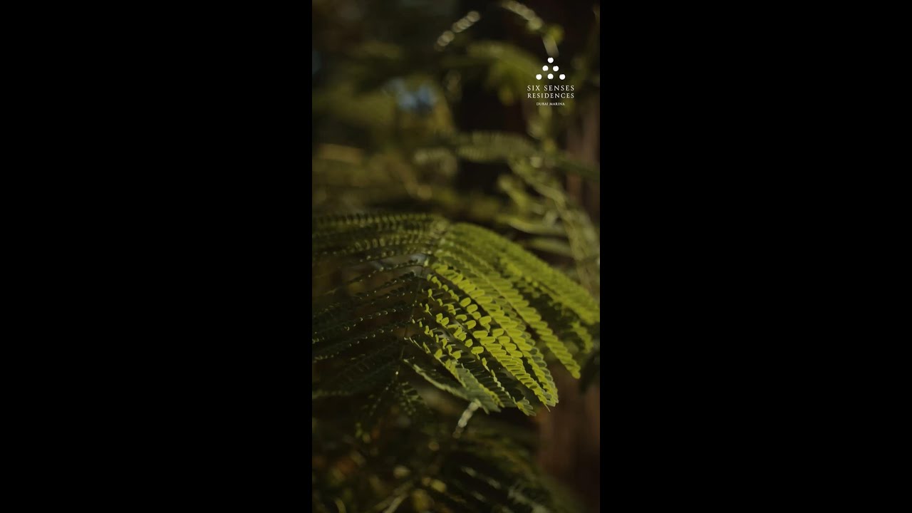 Discover the future of urban living  rooted in nature, guided by the Six Senses philosophy. #shorts
