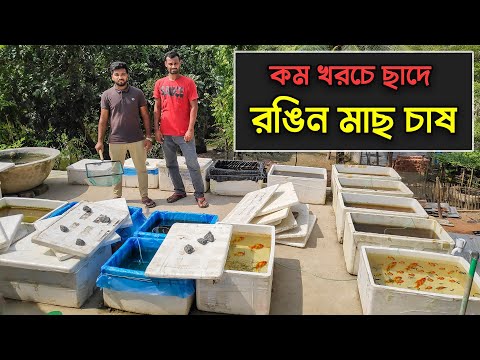 ভিডিও: কি পুরানো ছায়াছবি রঙিন করা