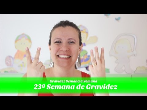 Vídeo: 23 semanas de gravidez - o que esperar