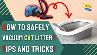 Can You Vacuum Cat Litter?  | What You Need to Know!