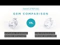 Natural Diamond GIA Certified v. FAB Moissanite by Fire & Brilliance