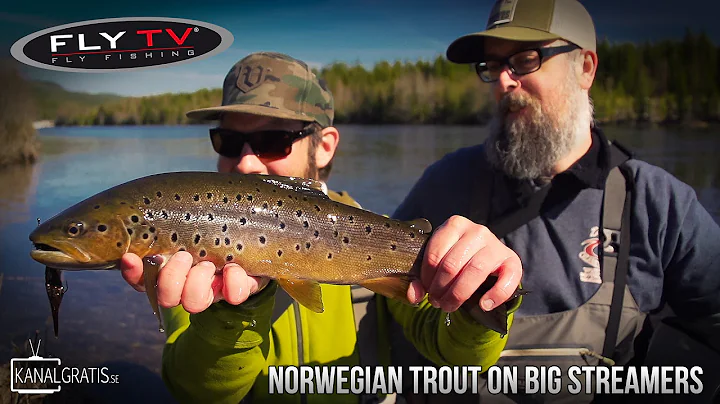 FLY TV - Norwegian Trout on Big Streamers in Rena ...