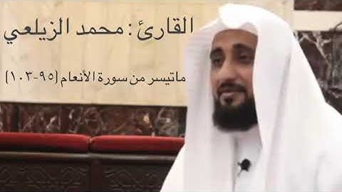 القارئ محمد الزيلعي ماتيسر من سورة الأنعام