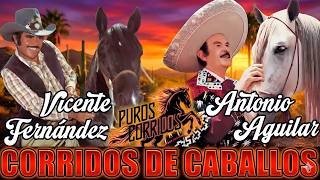 VICENTE FERNÁNDEZ y ANTONIO AGUILAR 🐴 Puros Corridos De Caballos Legendarios