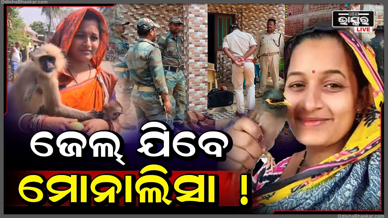 ଗିରଫ ଭୟରେ ଘରୁ ଧାଇଁଲେ ୟୁଟ୍ୟୁବର ମୋନାଲିସା, ଘରେ ପହଞ୍ଚିଗଲା ବନବିଭାଗ.. ଏବେ ଜେଲ୍ ଯିବେ ମୋନାଲିସା !