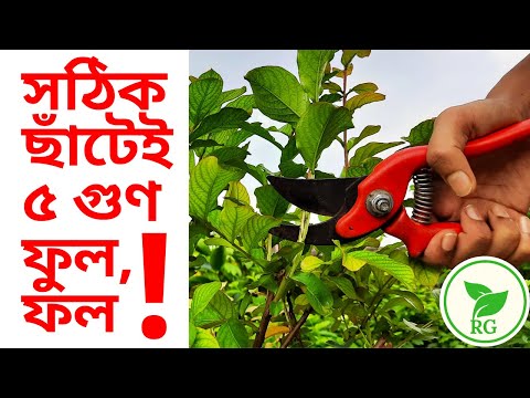 ভিডিও: ছাঁটাই করার পরে আপনার কি গাছ আঁকা উচিত?