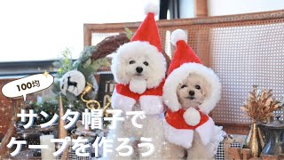 犬服diy 100均の材料1つでサンタのコスプレ 人間のクリスマス帽子を切ってポンチョにアレンジ わんクォール 犬服diy 100均の材料1つでサンタのコスプレ 人間のクリスマス帽子を切ってポンチョにアレンジ わんクォール