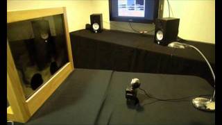Netaudio_London