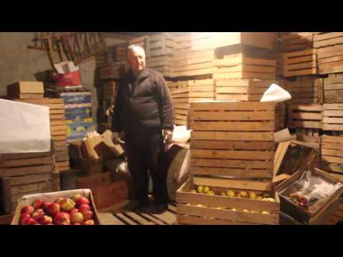 ვაშლის ფასი  -  25 ლარიდან 8 ლარამდე