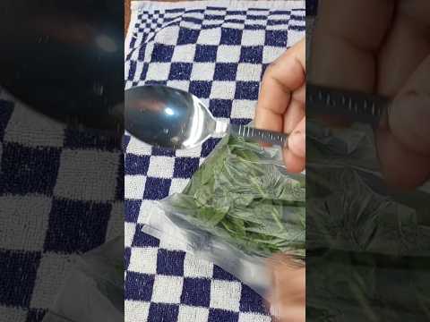 النعناع أغلى من الدهب ولادي قالولي يا ريت في منك اتنين والسر في المعلقة جوه الكيس