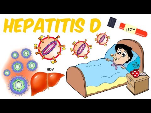Video: Hepatit D: Symtom, Behandling, Diagnos