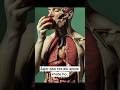 What Happens When You Eat Apple? 🍎 | 3D Medical Animation