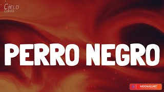 Bad Bunny - PERRO NEGRO (Lyrics/Letra)