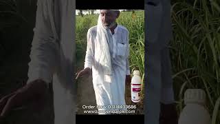 Tozon Ultra 55% SC Farmer Review | Sugarcane Weed Control Result in Pakistan