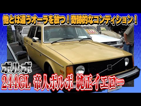 【ボルボ 244GL 帝人ボルボ 純正イエロー】テリーと井倉が吸い込まれる様に注目した一台