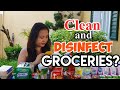 PAANO AKO MAGLINIS AND DISINFECT NG GROCERIES PARA IWAS GERMS &amp; VIRUS