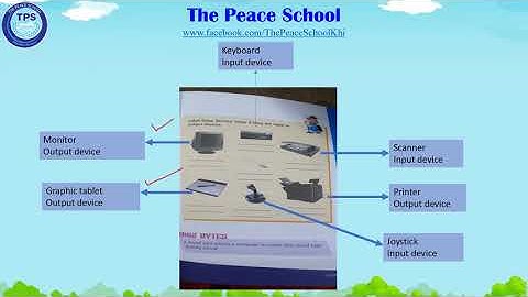 TPS Class 5 Computer Unit 2 Peripheral Devices Exercises