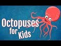 Amazing Octopuses: Secrets of the Sea and Their Unique Features