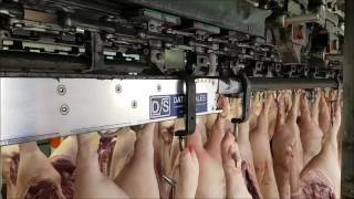 Data Scales Wiegeschienenförderer Im 2 Haken Betrieb